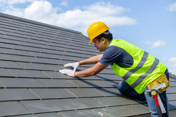 Best Roof Moss and Algae Removal  in Avoca, IA