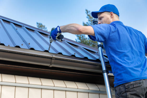 Best Roof Leak Repair  in Avoca, IA