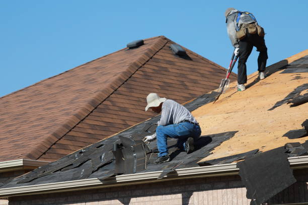Best Metal Roofing Installation  in Avoca, IA