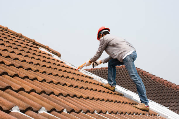 Best Roof Insulation Installation  in Avoca, IA