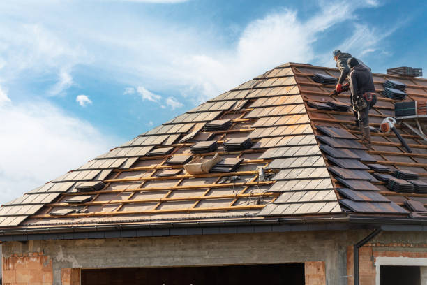 Best Gutter Installation and Repair  in Avoca, IA