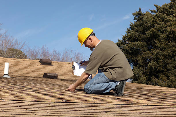 Best Roof Ventilation Installation  in Avoca, IA
