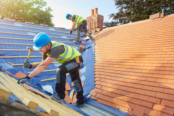 Best Solar Panel Roofing Installation  in Avoca, IA